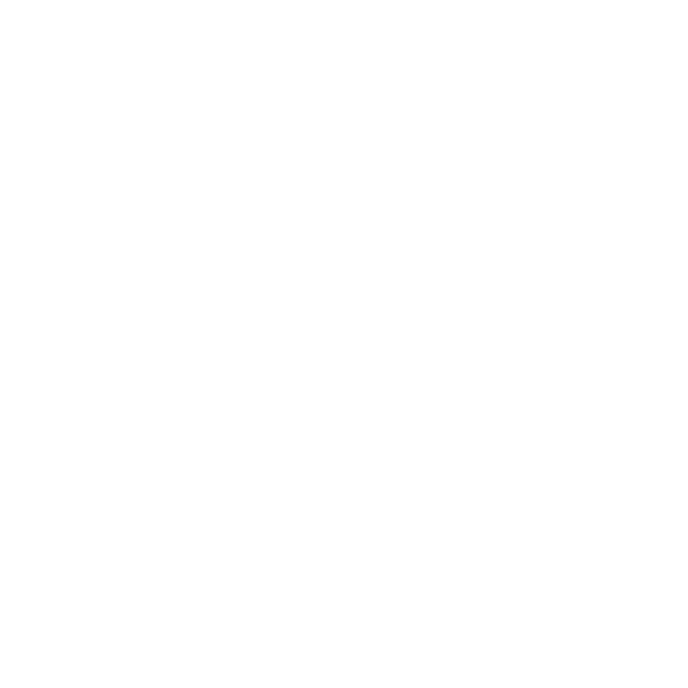 EgyBev